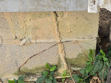 Termite Shelter Tubes