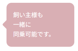 一緒にご乗車できます。