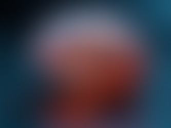 Understanding the Effects of Perimenopause on Brain Function and Memory