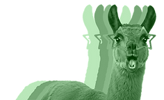 Surprised Llama-color shadow_edited_edit