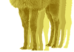 llama leg_edited_edited_edited_edited_ed