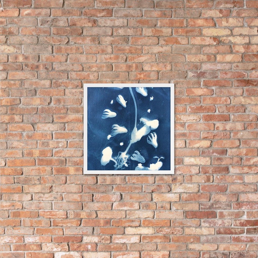 Thumbnail: "Mangroves" Framed poster