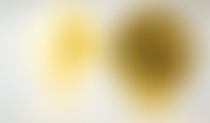 The era of Digital Currencies