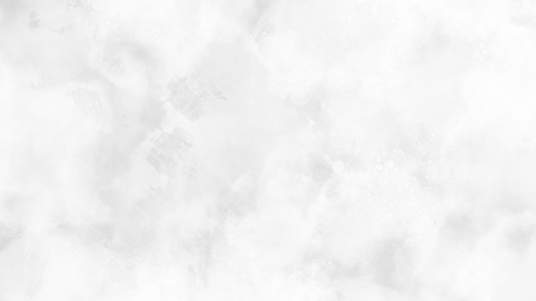 Fond pour site internet.png