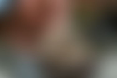 It’s Bonus Blog Month with TwoWomen! 