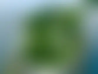 Escape to Your Own Private New England Isle