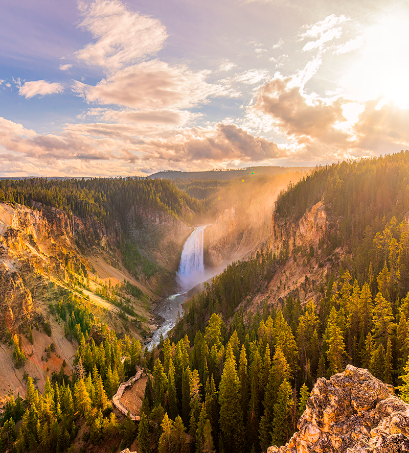 Get Wild: View the Wildlife in Yellowstone & Grand Teton