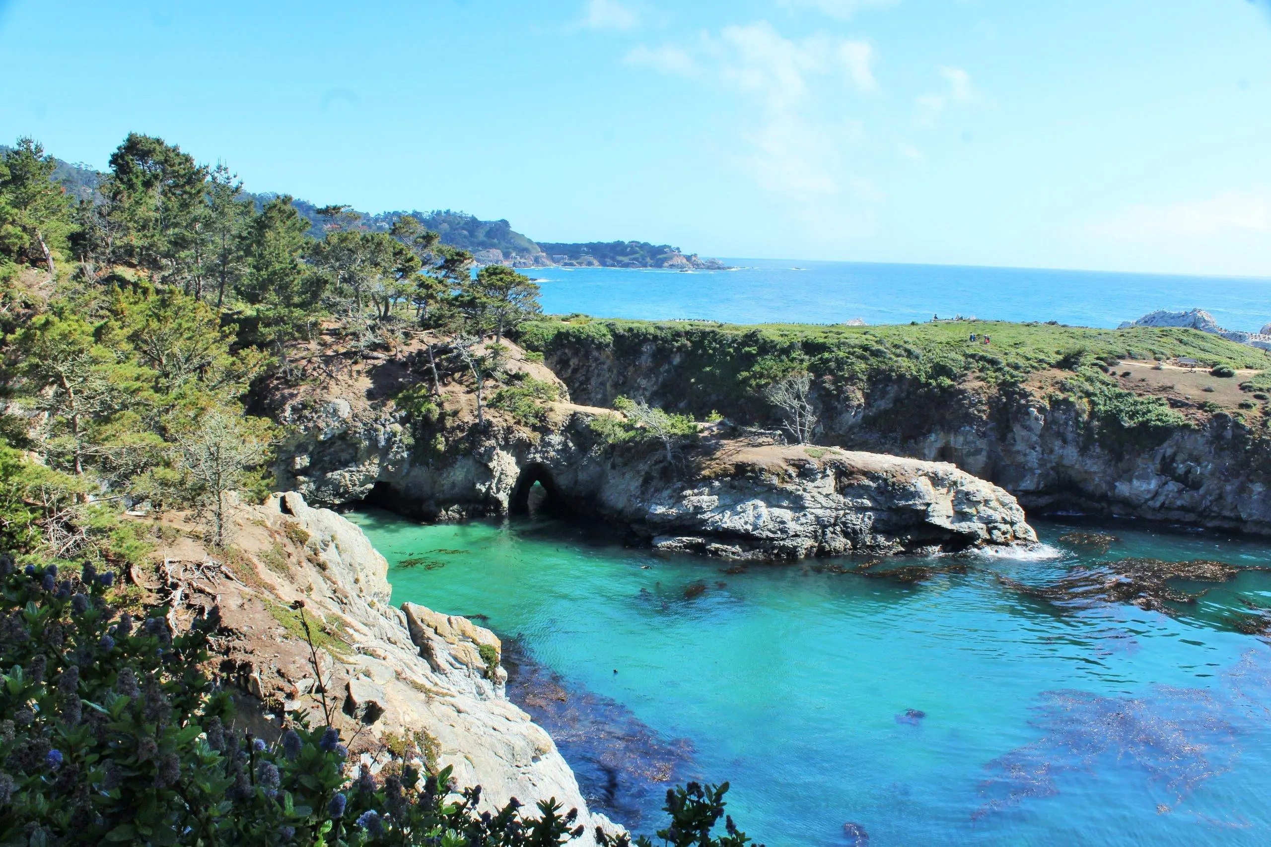 Pt Lobos State Park