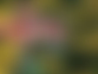 Enjoy Your Very Own Tropical Oasis in Paradise