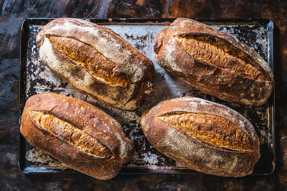 Overhead shot of four rustic artisan sourdough loaves on a baking tray, dark warm background, landscape orientation, rich browns and golds, focus on crust texture.