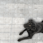 Earthen Fire - Terranova Bone Matt 02_144x.png