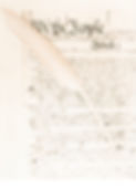 constitution background from senate report.jpg