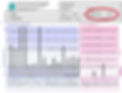 Example of 'Fast' Metabolic Typing on the HTMA
