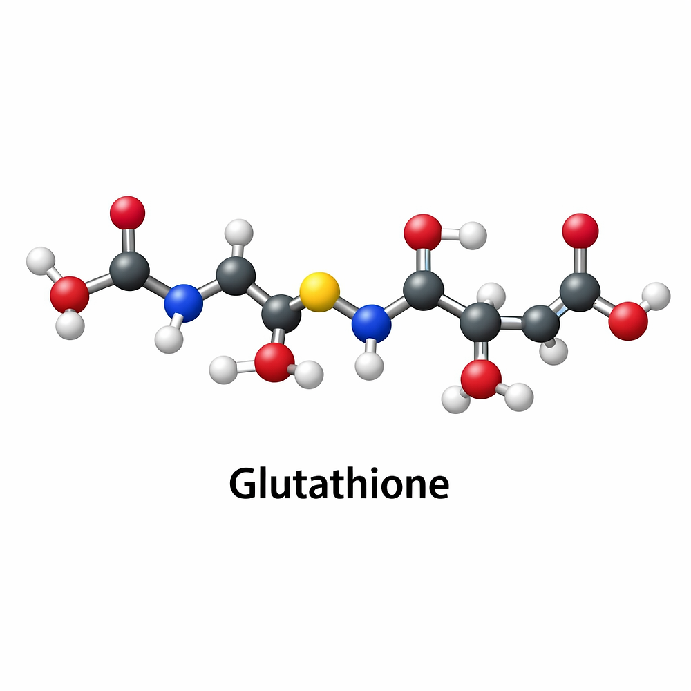 glutathione depleted by tylenol Tylenol, Autism, And The Glutathione Connection • OC Integrative Medicine main image 0