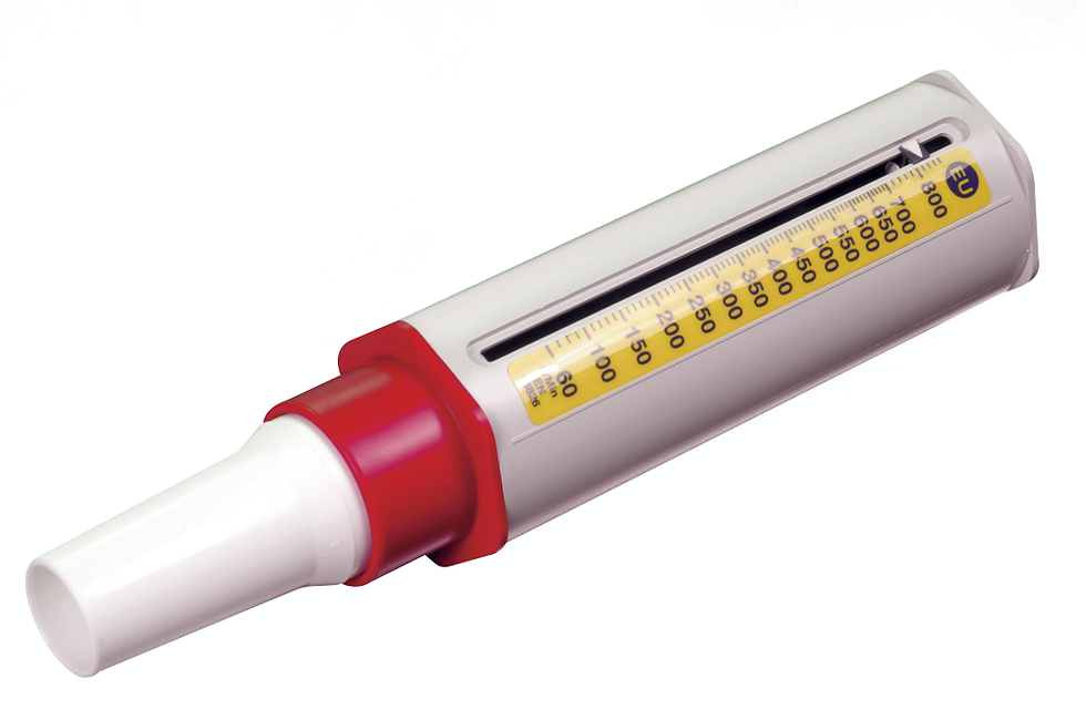 A simple peak flow meter