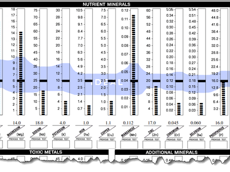HTMA Chart