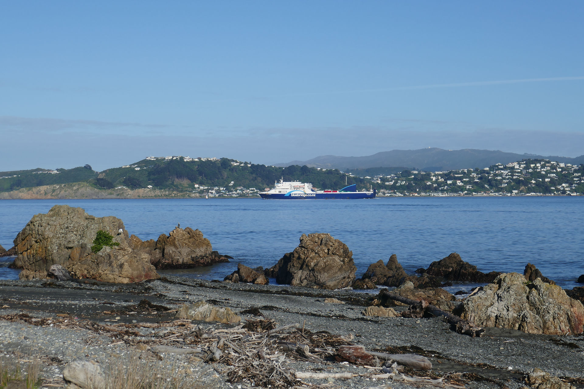Bluebridge Ferry leaving Wellington Harbour for the South Island.

Bluebridge is the way to go, if you have a bike on board.