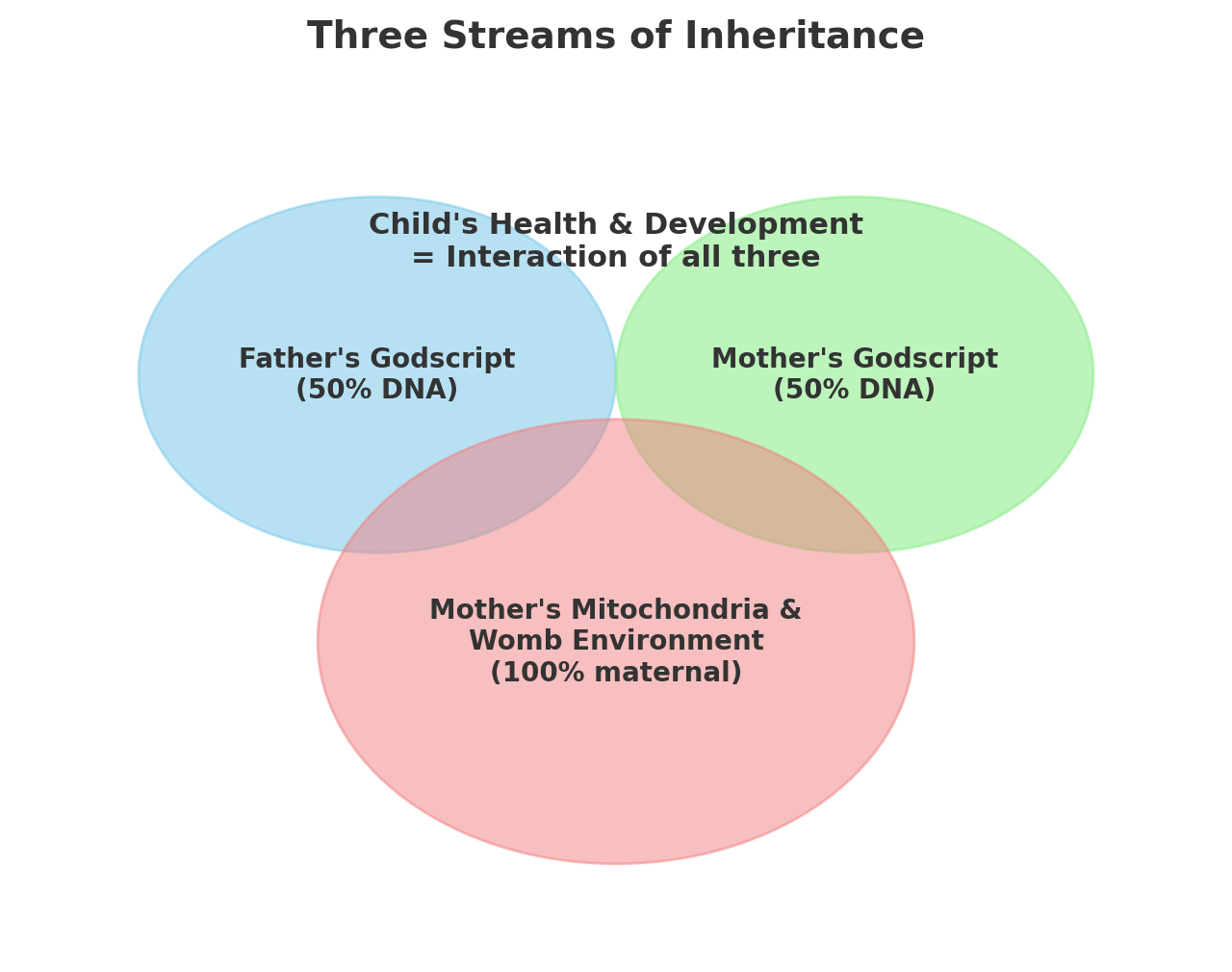 Venn diagram titled "Three Streams of Inheritance" showing Father's Godscript, Mother's Godscript, and Mother's Mitochondria & Womb.