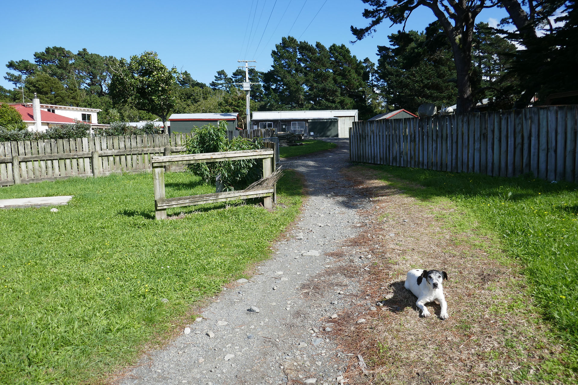 Dropped in on our old friends, the Goodings, for a cuppa and a feed, but no one home.  

One very friendly guard dog.
