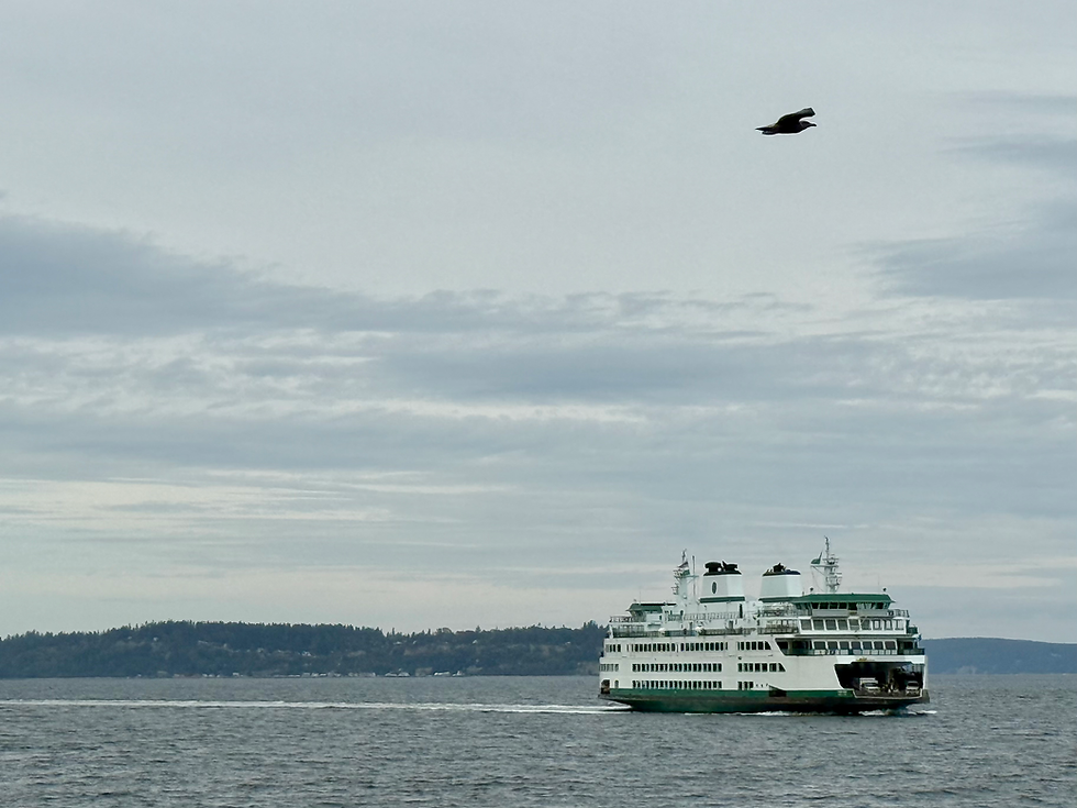 Hello from the Rehearsal Room!