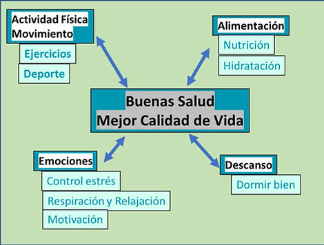 Icografia Calidad de Vida.jpg
