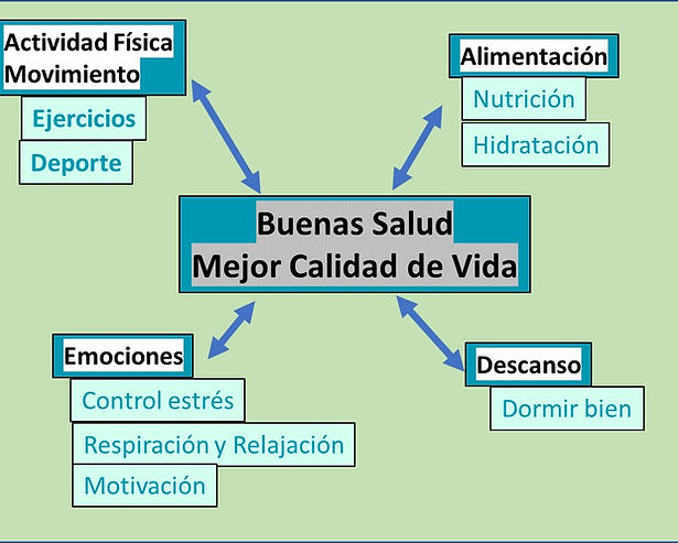 Icografia Calidad de Vida.jpg