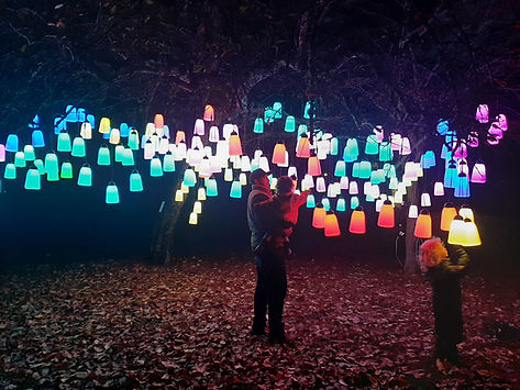 Colour changing lanterns.jpg