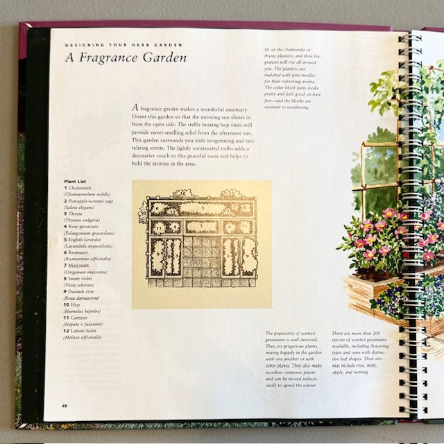 Thumbnail: BH&G Herb Gardens: Step-By-Step Successful Gardening