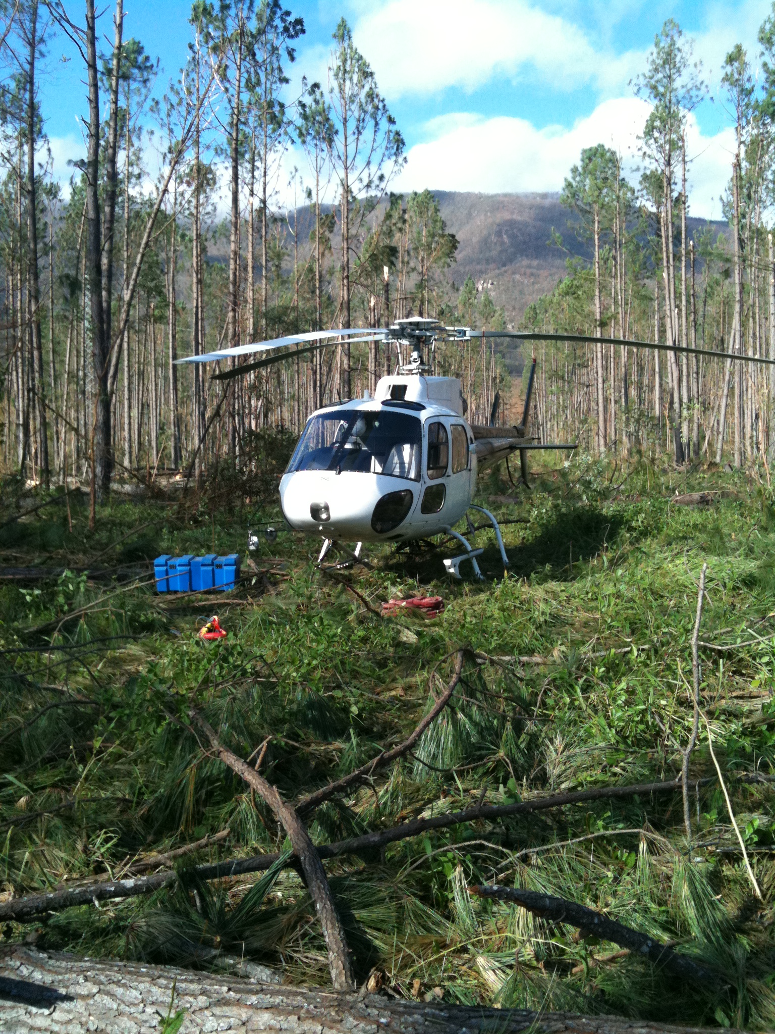 Helicopter Services | Queensland | Leading Edge Helicopters