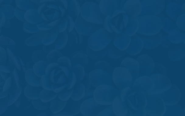 Blue Background.png