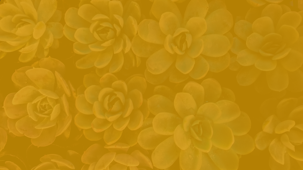 Gold Background