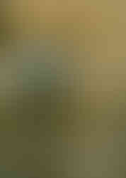 Three Wooden Crosses