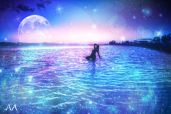 Fine Art Photography