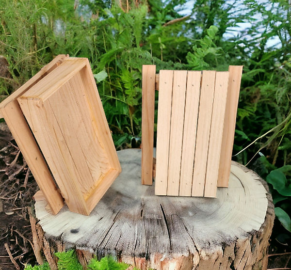 Squirrel Picnic Table Feeder 2.jpeg