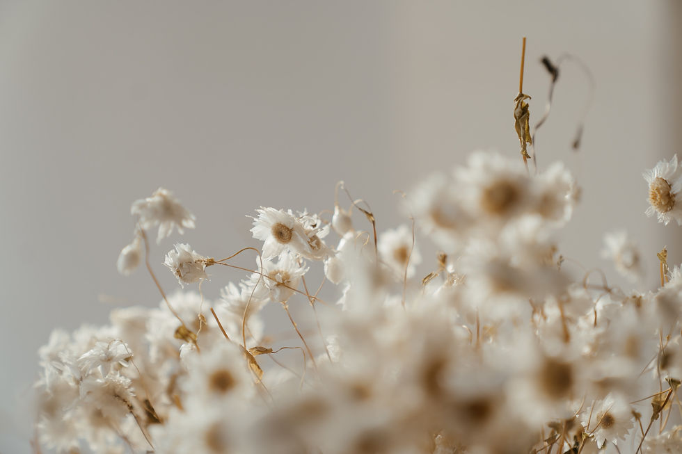 pexels-cottonbro-studio-4270167.jpg