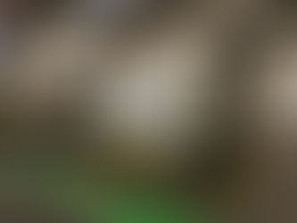 Heavy-Duty Conveyor Systems