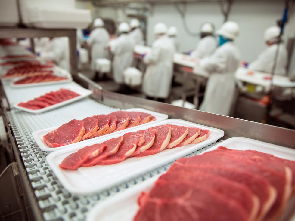 Key Conveyor Types Used In Food Production