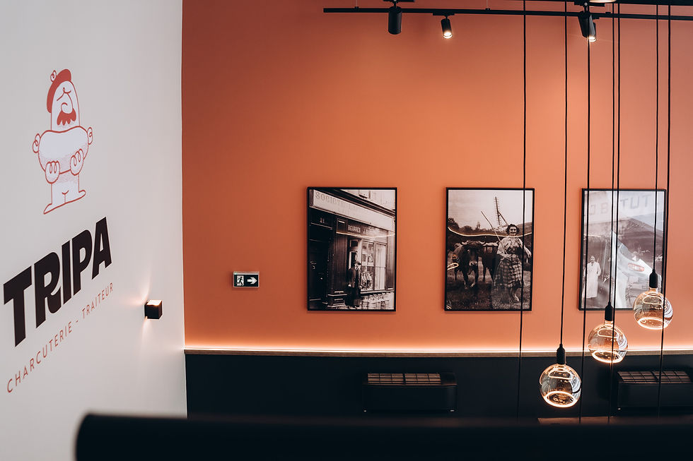 NOUVEL ANGLE TRIPA triptyque.jpg