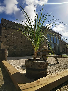 rustic dj ashcroft barn
