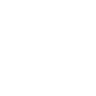Wellness Program