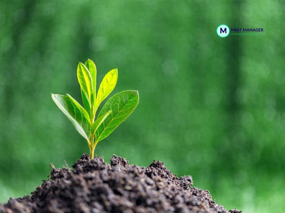 High Performance isn’t built in a strategy document