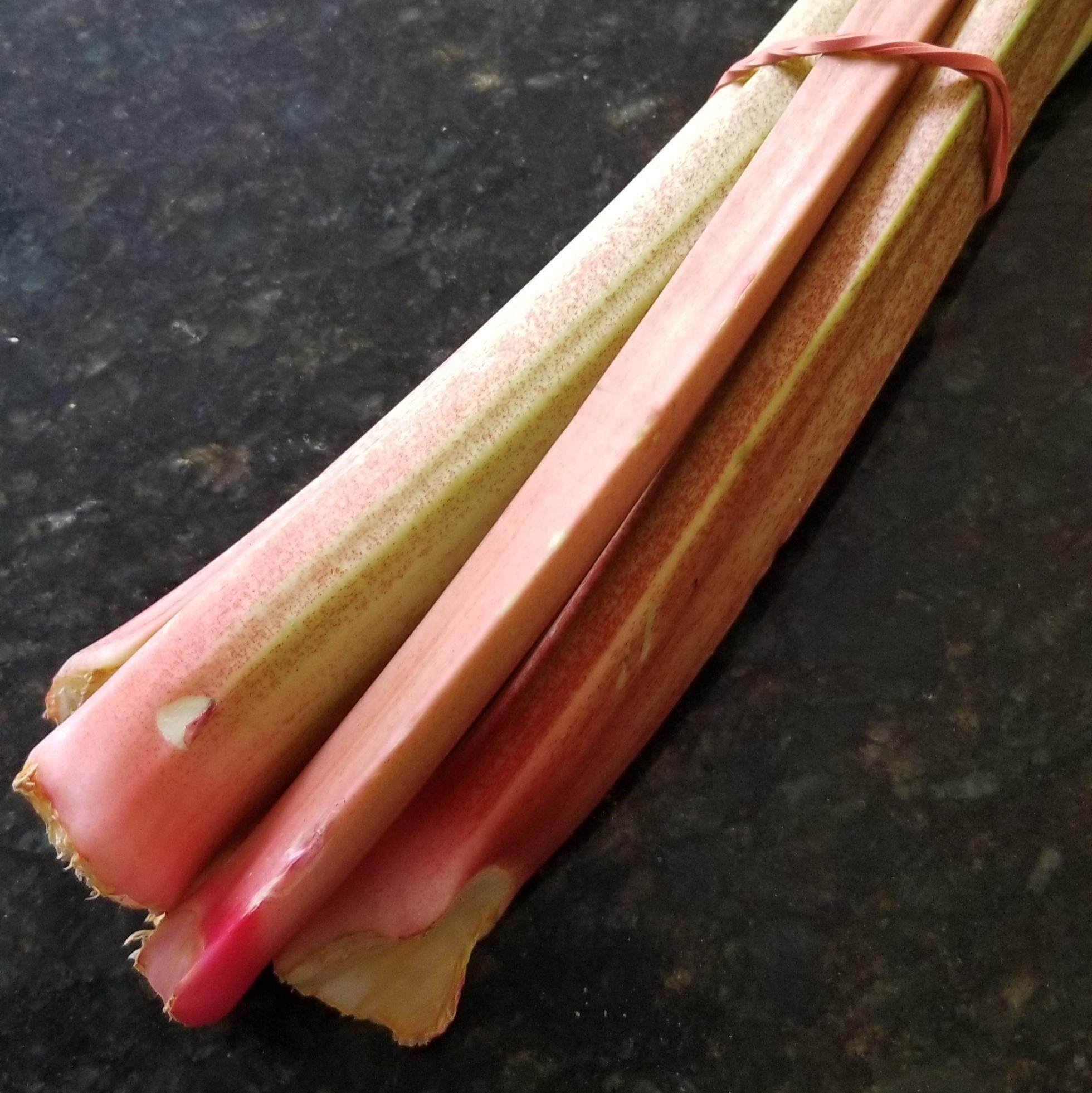 Rhubarb