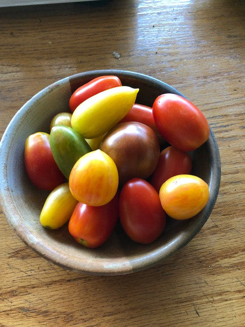 Thumbnail: Tomatoes