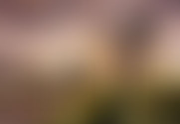 Mengenal komposisi Golden Ratio dalam dunia Fotografi