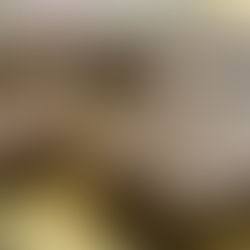 Energize Your Day with These No-Bake Vegan Flourless Energy Boost Bars