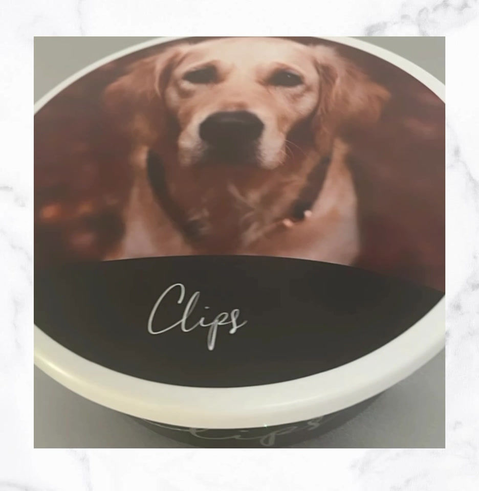 Thumbnail: Food bowl I 2L I with an individual photo