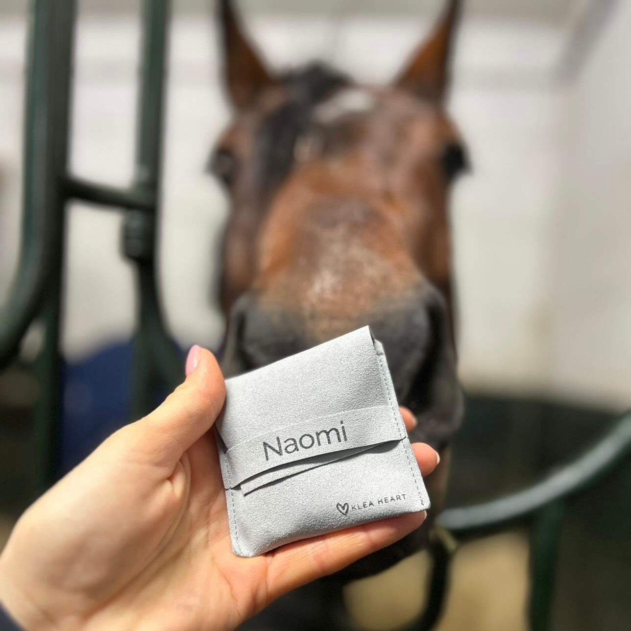 Jewellery bag - Customisable