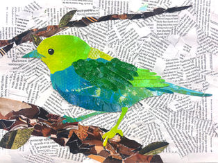 _H_Choi_7_TriciaOliver_EastSamfordSchool - Tricia Oliver.jpg