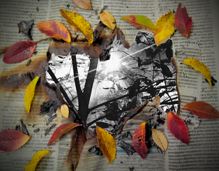 Through the Pages_St. Clair_St. Clair County High School_Mary Morrow_Kristin Holland_12 -