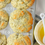 Thumbnail: Vegan Poppyseed Lemon Muffin 4 pieces